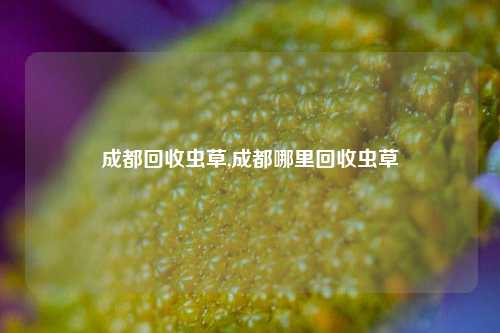 成都回收虫草,成都哪里回收虫草-第1张图片-华粤回收