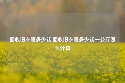 回收旧衣服多少钱,回收旧衣服多少钱一公斤怎么计算-第1张图片-华粤回收