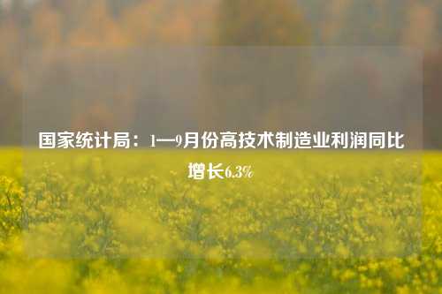 国家统计局：1—9月份高技术制造业利润同比增长6.3%-第1张图片-华粤回收