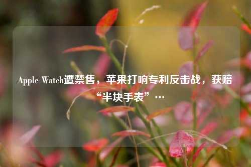 Apple Watch遭禁售，苹果打响专利反击战，获赔“半块手表”…-第1张图片-华粤回收