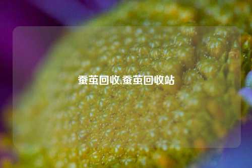 蚕茧回收,蚕茧回收站-第1张图片-华粤回收