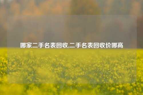 哪家二手名表回收,二手名表回收价哪高-第1张图片-华粤回收