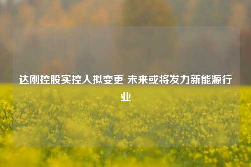 达刚控股实控人拟变更 未来或将发力新能源行业-第1张图片-华粤回收