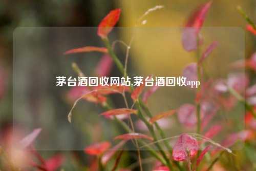 茅台酒回收网站,茅台酒回收app-第1张图片-华粤回收