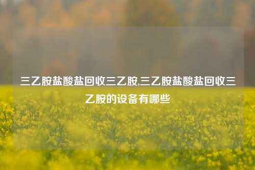 三乙胺盐酸盐回收三乙胺,三乙胺盐酸盐回收三乙胺的设备有哪些-第1张图片-华粤回收