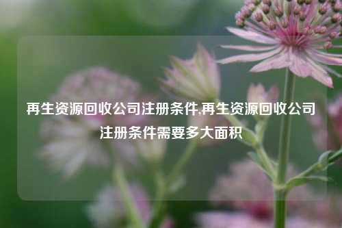 再生资源回收公司注册条件,再生资源回收公司注册条件需要多大面积-第1张图片-华粤回收