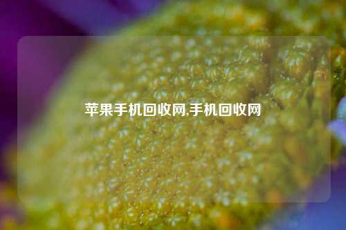 苹果手机回收网,手机回收网-第1张图片-华粤回收