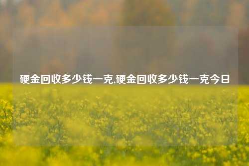 硬金回收多少钱一克,硬金回收多少钱一克今日-第1张图片-华粤回收