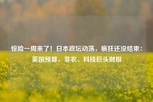 惊险一周来了！日本政坛动荡，疯狂还没结束：英国预算、非农、科技巨头财报-第1张图片-华粤回收