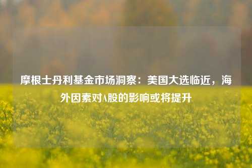 摩根士丹利基金市场洞察：美国大选临近，海外因素对A股的影响或将提升-第1张图片-华粤回收