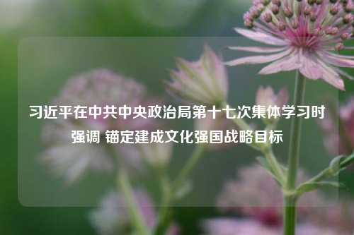 习近平在中共中央政治局第十七次集体学习时强调 锚定建成文化强国战略目标-第1张图片-华粤回收