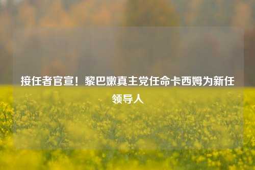 接任者官宣！黎巴嫩真主党任命卡西姆为新任领导人-第1张图片-华粤回收