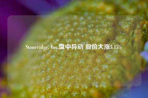 Stoneridge, Inc.盘中异动 股价大涨5.15%-第1张图片-华粤回收