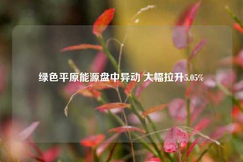 绿色平原能源盘中异动 大幅拉升5.05%-第1张图片-华粤回收