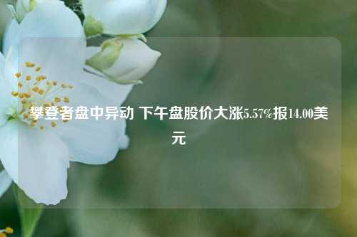 攀登者盘中异动 下午盘股价大涨5.57%报14.00美元-第1张图片-华粤回收