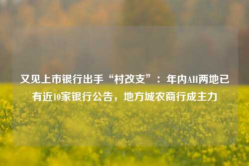 又见上市银行出手“村改支”：年内AH两地已有近10家银行公告，地方城农商行成主力-第1张图片-华粤回收