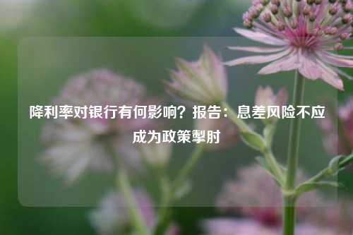 降利率对银行有何影响？报告：息差风险不应成为政策掣肘-第1张图片-华粤回收