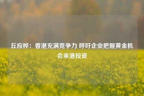 丘应桦：香港充满竞争力 呼吁企业把握黄金机会来港投资-第1张图片-华粤回收