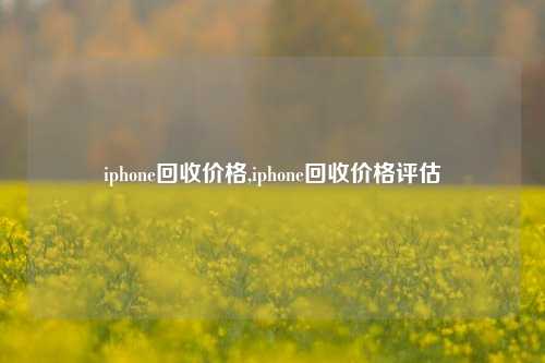 iphone回收价格,iphone回收价格评估-第1张图片-华粤回收