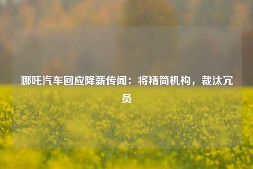 哪吒汽车回应降薪传闻：将精简机构，裁汰冗员-第1张图片-华粤回收