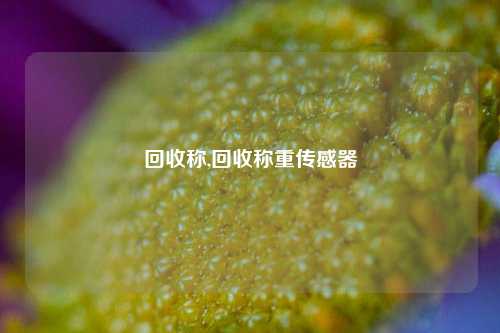 回收称,回收称重传感器-第1张图片-华粤回收