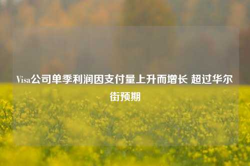 Visa公司单季利润因支付量上升而增长 超过华尔街预期-第1张图片-华粤回收