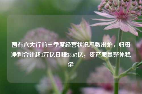 国有六大行前三季度经营状况悉数出炉，归母净利合计超1万亿日赚38.67亿，资产质量整体稳健-第1张图片-华粤回收