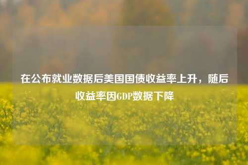 在公布就业数据后美国国债收益率上升，随后收益率因GDP数据下降-第1张图片-华粤回收