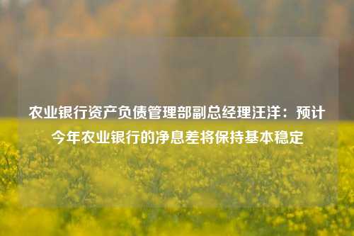 农业银行资产负债管理部副总经理汪洋：预计今年农业银行的净息差将保持基本稳定-第1张图片-华粤回收