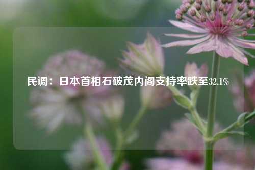 民调：日本首相石破茂内阁支持率跌至32.1%-第1张图片-华粤回收