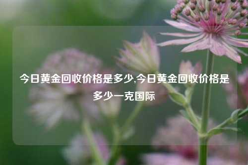 今日黄金回收价格是多少,今日黄金回收价格是多少一克国际-第1张图片-华粤回收