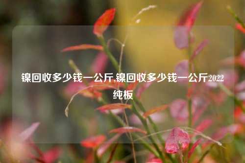 镍回收多少钱一公斤,镍回收多少钱一公斤2022纯板-第1张图片-华粤回收