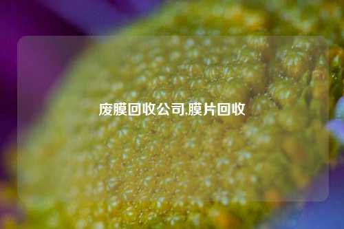 废膜回收公司,膜片回收-第1张图片-华粤回收