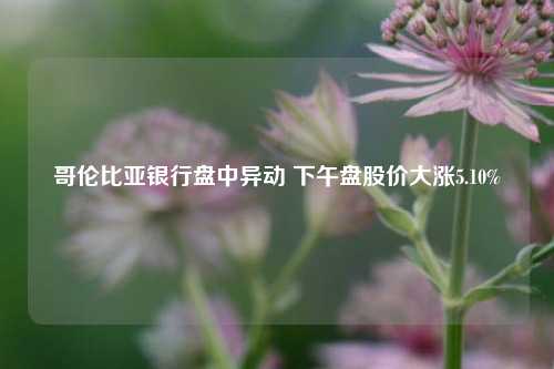 哥伦比亚银行盘中异动 下午盘股价大涨5.10%-第1张图片-华粤回收