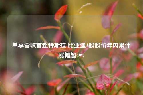 单季营收首超特斯拉 比亚迪A股股价年内累计涨幅超49%-第1张图片-华粤回收