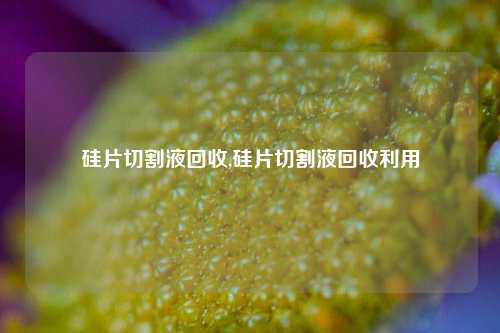 硅片切割液回收,硅片切割液回收利用-第1张图片-华粤回收