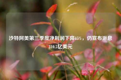 沙特阿美第三季度净利润下降15%，仍宣布派息310.5亿美元-第1张图片-华粤回收