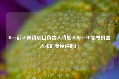 Meta前AR眼镜项目负责人将加入OpenAI 领导机器人和消费硬件部门-第1张图片-华粤回收