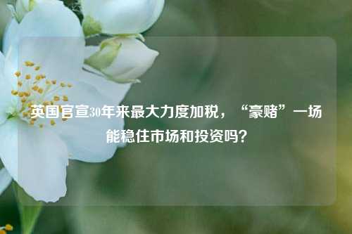 英国官宣30年来最大力度加税，“豪赌”一场能稳住市场和投资吗？-第1张图片-华粤回收