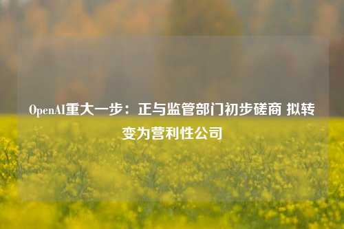 OpenAI重大一步：正与监管部门初步磋商 拟转变为营利性公司-第1张图片-华粤回收