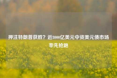 押注特朗普获胜？近8000亿美元中资美元债市场率先抢跑-第1张图片-华粤回收