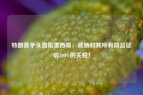 特朗普矛头直指墨西哥：威胁对其所有商品征收100%的关税！-第1张图片-华粤回收