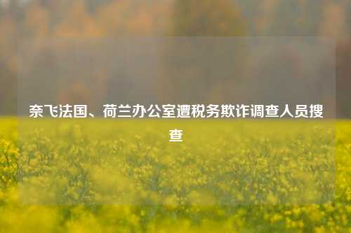 奈飞法国、荷兰办公室遭税务欺诈调查人员搜查-第1张图片-华粤回收