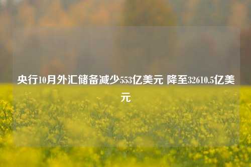 央行10月外汇储备减少553亿美元 降至32610.5亿美元-第1张图片-华粤回收