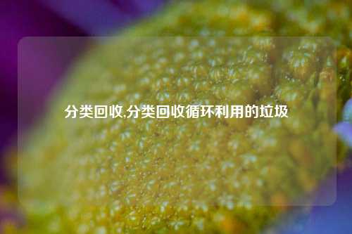 分类回收,分类回收循环利用的垃圾-第1张图片-华粤回收