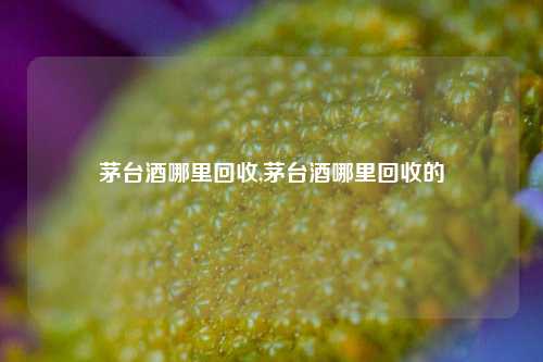 茅台酒哪里回收,茅台酒哪里回收的-第1张图片-华粤回收