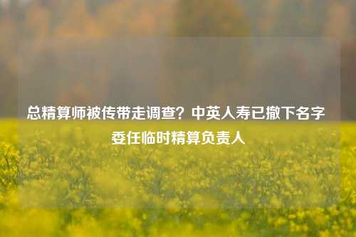 总精算师被传带走调查？中英人寿已撤下名字 委任临时精算负责人-第1张图片-华粤回收