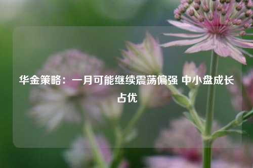 华金策略：一月可能继续震荡偏强 中小盘成长占优