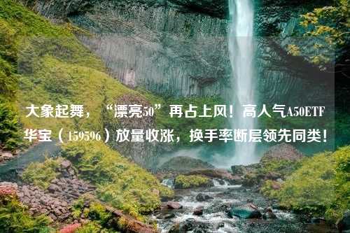 大象起舞，“漂亮50”再占上风！高人气A50ETF华宝（159596）放量收涨，换手率断层领先同类！