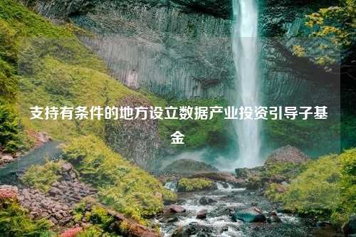 支持有条件的地方设立数据产业投资引导子基金